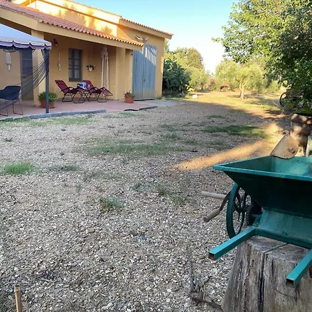 Casa Margherita Apartment